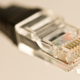 Illustration for article titled Google Handed Stacks of WikiLeaks Email Straight to the FBI in 2012